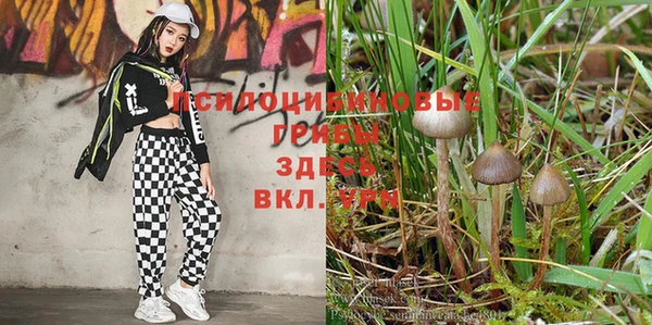 mix Алзамай