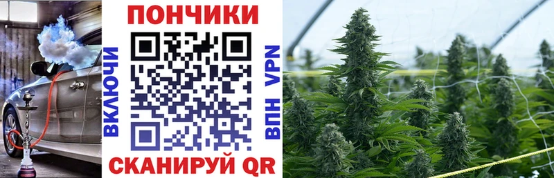 закладки  Ивдель  Конопля AK-47 